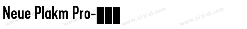 Neue Plakm Pro字体转换